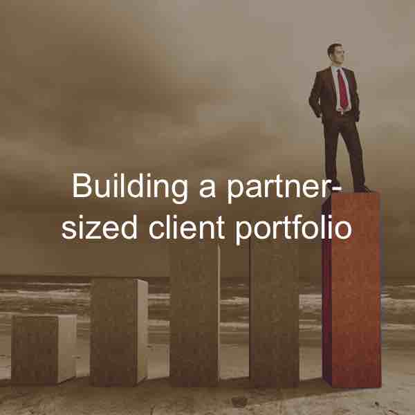 building a partner sized client portfolio