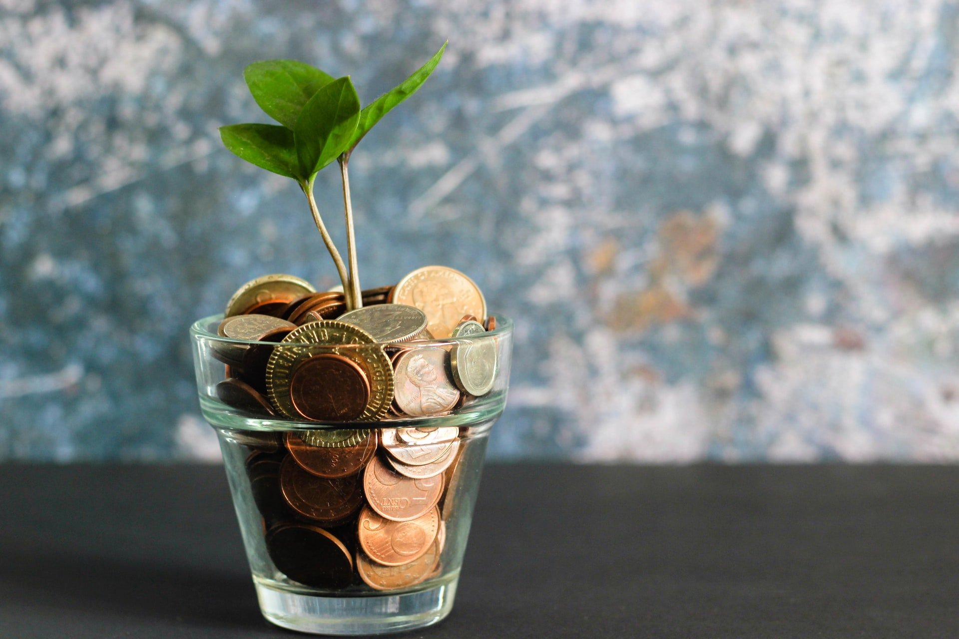a plant growing in a pot of money to represent showing your potential for growth
